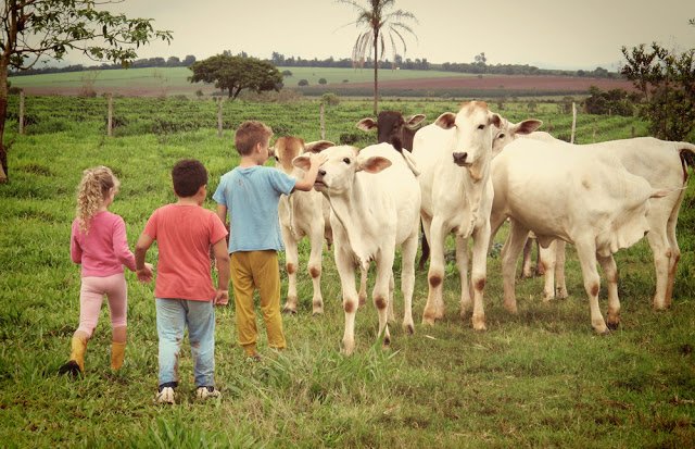 STJ decidiu que o tempo de trabalho infantil vale para aposentadoria no Brasil aquitemtrabalho.com.br aposentadoria trabalho infantil emprego